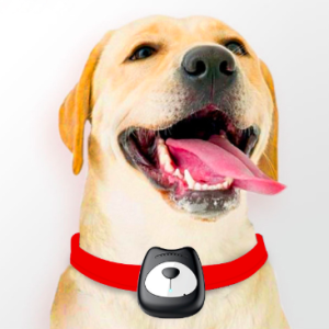 PU collar GPS Pet Dog Tracker